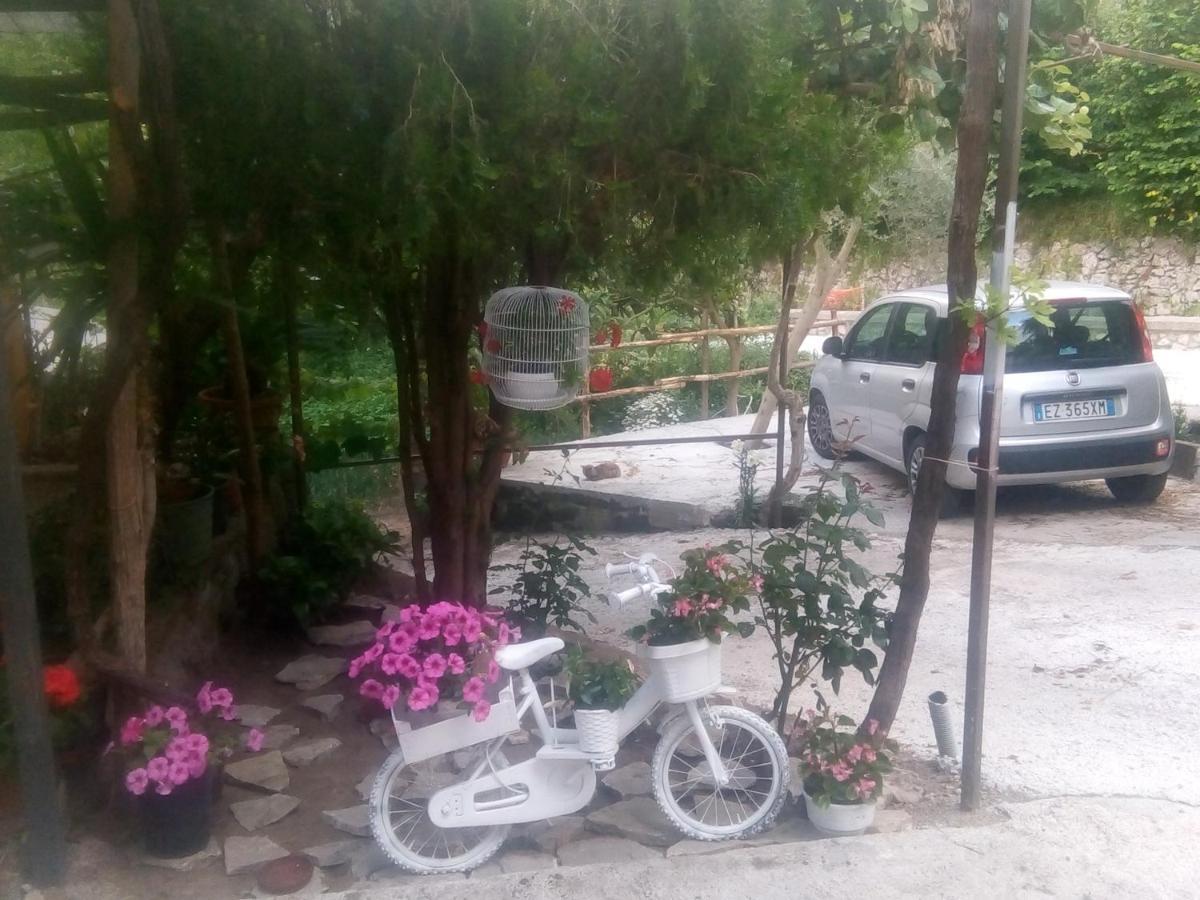 Amaa Casa Bed & Breakfast Vico Equense Eksteriør bilde